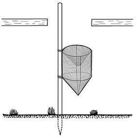 ris21